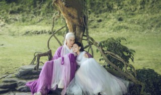 枕上书阿兰若梦境 枕上书阿兰若梦境圆房