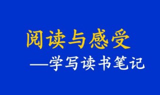 怎么写读后感 怎么写读后感三年级300字