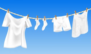 如何正确洗短裤（短裤的正确洗法）