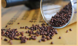 葡萄籽能吃 葡萄籽能吃吗有什么好处