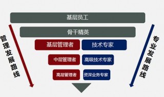 员工岗位晋升前怎么谈话（员工岗位晋升前怎么谈话合适）