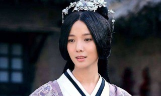 卫子夫的儿子继承皇位了吗?（卫子夫的儿子继承皇位了吗小说）