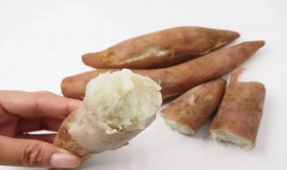 白薯怎么来中国的（红薯是怎么来中国的）