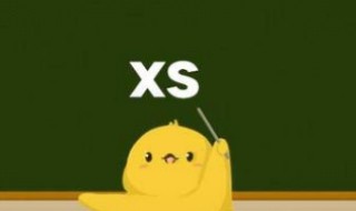 XS是什么意思 网上说XXS是什么意思