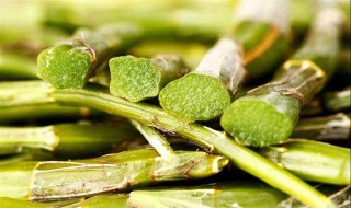 石斛名字的来由 与石斛有关的名字