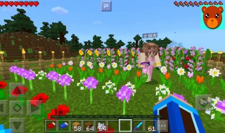 我的世界有哪些矿石(我的世界矿石有多少种类)