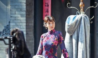 柳岩和文章演的什么电视剧（文章跟柳岩演的电视剧）