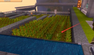 迷你世界如何自动种植 迷你世界如何自动种植小麦