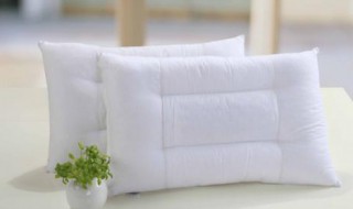 枕芯内胆怎么洗（枕芯内胆怎么洗干净）
