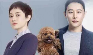 电视剧安家全部演员表（电视剧安家全部演员表介绍）