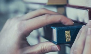 中国的南瓜精神（南瓜的文化）