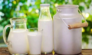 乳铁蛋白可以加到羊奶里么 羊奶粉需要额外加乳铁蛋白吗