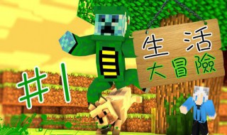 我的世界登录不了怎么办（我的世界登录不了怎么办苹果）