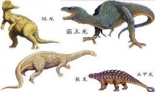 四年级关于恐龙的资料 四年级的恐龙的资料