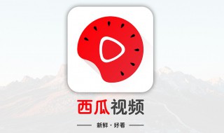 西瓜币能换钱吗（西瓜币怎样换钱）