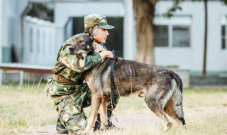 不要忘记我爱你是哪个电视剧（如果忘记我爱你电视剧）