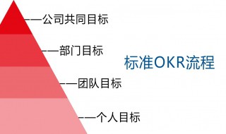 okr怎么写（新员工okr怎么写）