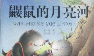 鼹鼠的月亮河第四章主要内容（鼹鼠的月亮河第六章）