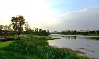 郫都区锦城公园在哪（郫都区锦城公园片区在哪里）