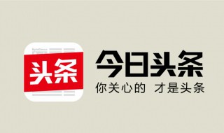 我的头条后台怎么只有申请黄V 头条开通黄v