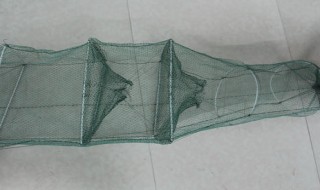 为什么大鱼很少进地笼 为什么大鱼不进地笼