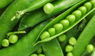 豌豆的营养价值 豌豆的营养价值及功效及禁忌