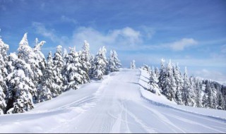 描写雪景的句子 白雪歌送武判官归京中描写雪景的句子