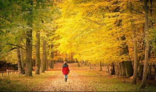 描写秋天的优美句子（描写秋天的优美句子段落）