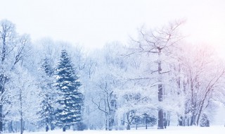 描写冬天的优美句子（描写冬天的优美句子5个）