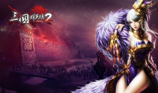 三国群英传2秘籍武将技能编号（三国群英传2秘籍武将）