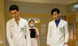 爱的妇产科连体婴是哪一集（爱的妇产科连体婴儿视频）