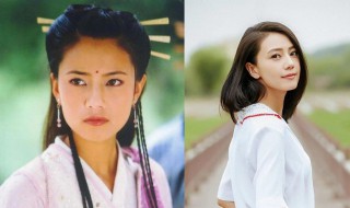 周芷若是什么电视剧的 周芷若是什么电视剧的主角