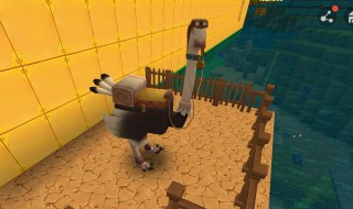 迷你世界里的鸵鸟吃什么才能驯服(迷你世界鸵鸟吃什么可以驯服)