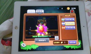 植物大战僵尸英雄进不去怎么办（植物大战僵尸英雄进不去怎么回事）