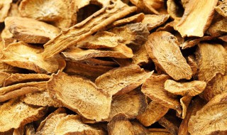 牛蒡茶怎么喝减肥喝多久才减肥呢 怎样喝牛蒡茶能快速减肥