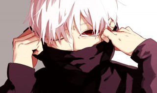 金木怎么变成佐佐木的（金木怎么变成佐佐木的?）