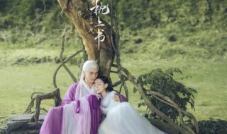 三生三世枕上书多少集生白滚滚 三生三世枕上书第几集生下白滚滚