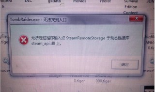 teamviewer无法定位程序输入点