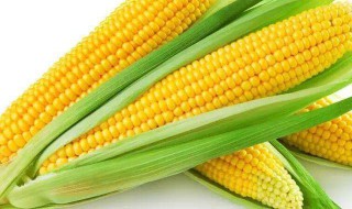 玉米如何深加工提高价值 玉米怎么深加工