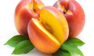 桃的营养价值 黄桃的营养价值及功效与作用
