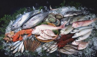海鲜的营养价值 海鲜的营养价值和功效与作用