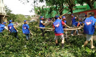 美化家园志愿者活动英语作文（美化家园志愿者活动英语作文高中）