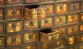 成人去哪里自学中医 成人去哪可以学中医