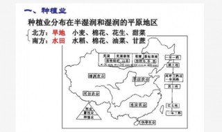 北方地区的种植业类型（北方地区主要种植）