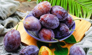 宝宝可以吃西梅吗（10个月宝宝可以吃西梅吗）