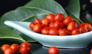 红豆营养价值（红豆营养价值和功效及其禁忌）