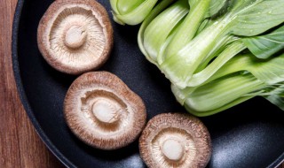 宝宝能吃香菇吗 10个月宝宝能吃香菇吗