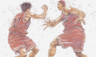 为什么流川枫只理樱木 为什么流川枫只理樱木花道