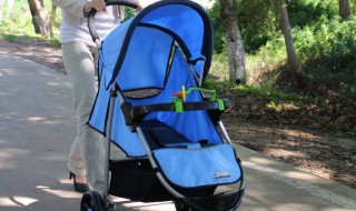 选购婴儿车有什么讲究 买婴儿车实用吗