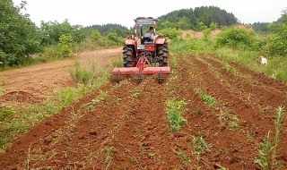 新手怎么用旋耕机旋地 旋耕机怎么能把地旋平